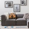 Highland Cow Scottish Cattle Pillowcase Polyester Linen Velvet Pattern Decorative Throw Pillow Case Sofa Seater Cushion Cover