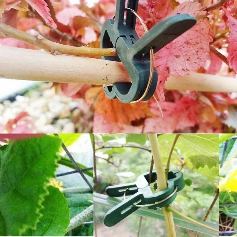 40pcs Reusable Plastic Plant Support Clips Clamps for Plants Hanging Vine Garden Greenhouse Vegetables Tomatoes Clips