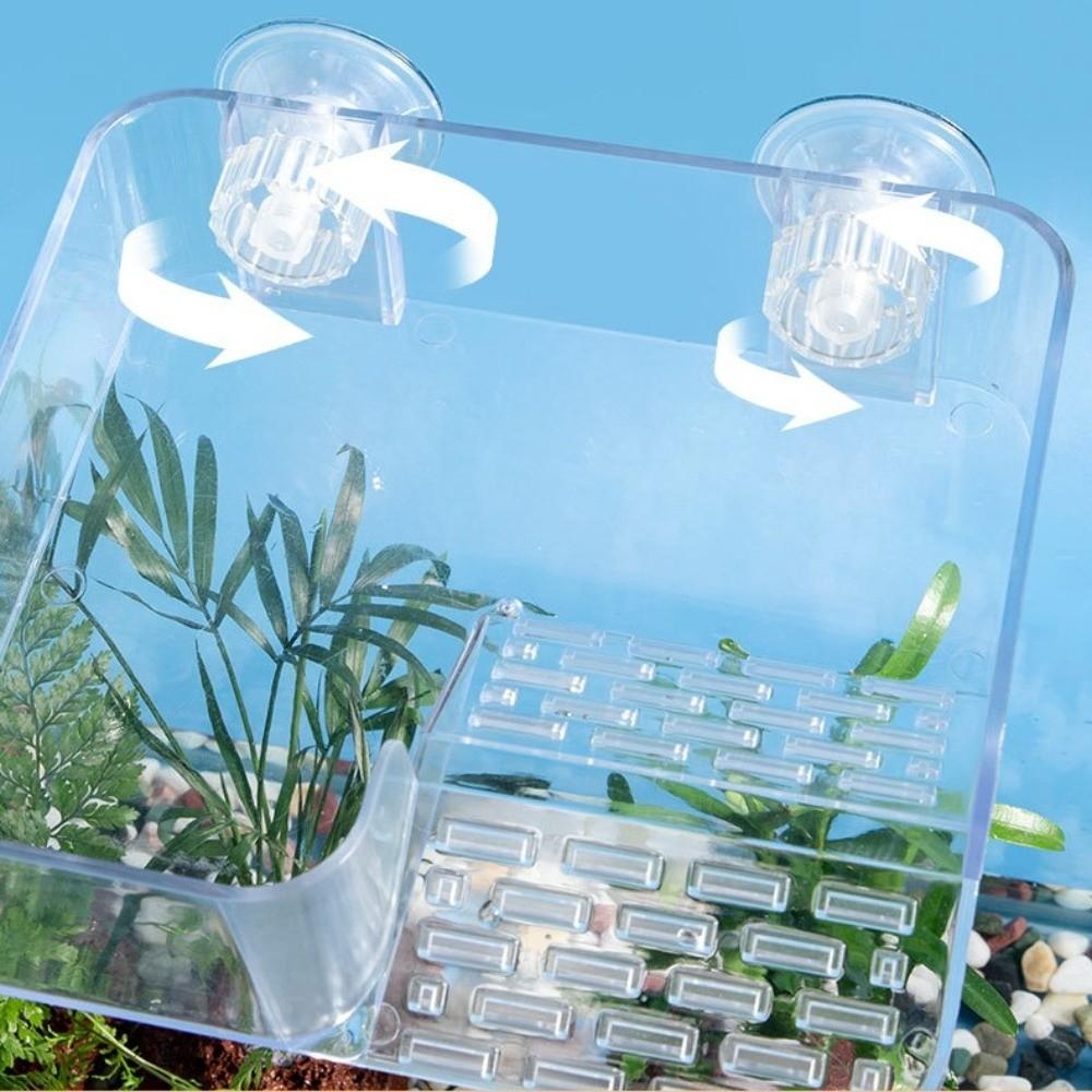 With Ramp Tortoise Climbing Basking Platform Acrylic Removable Suction Cups Hanging Turtle Platform Transparent Non-Slip