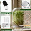 Clear Wide Mouth Glass Sprouter Container Set With Lid For Fast Seedling Germination Vegetable Cultivation Accessories