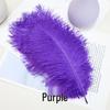 White Ostrich Feathers 15-80cm for Lighting, Wedding Aisle Decor, Photo Props, and Vase Ornaments