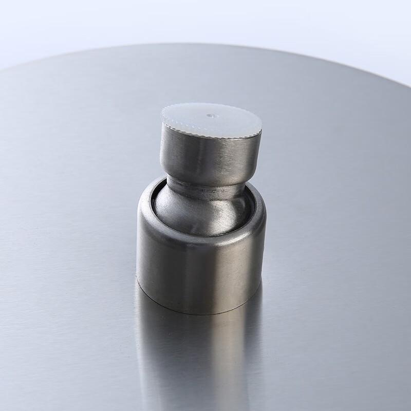 OEMG304 Stainless Steel Pressurized Shower Head