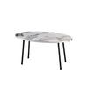 Silver Ellipse Black Metal Leg Coffee Table
