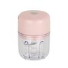 100/250ml Electric Mini Garlic Chopper Wireless Garlic Masher Machine  Kitchen Gadgets