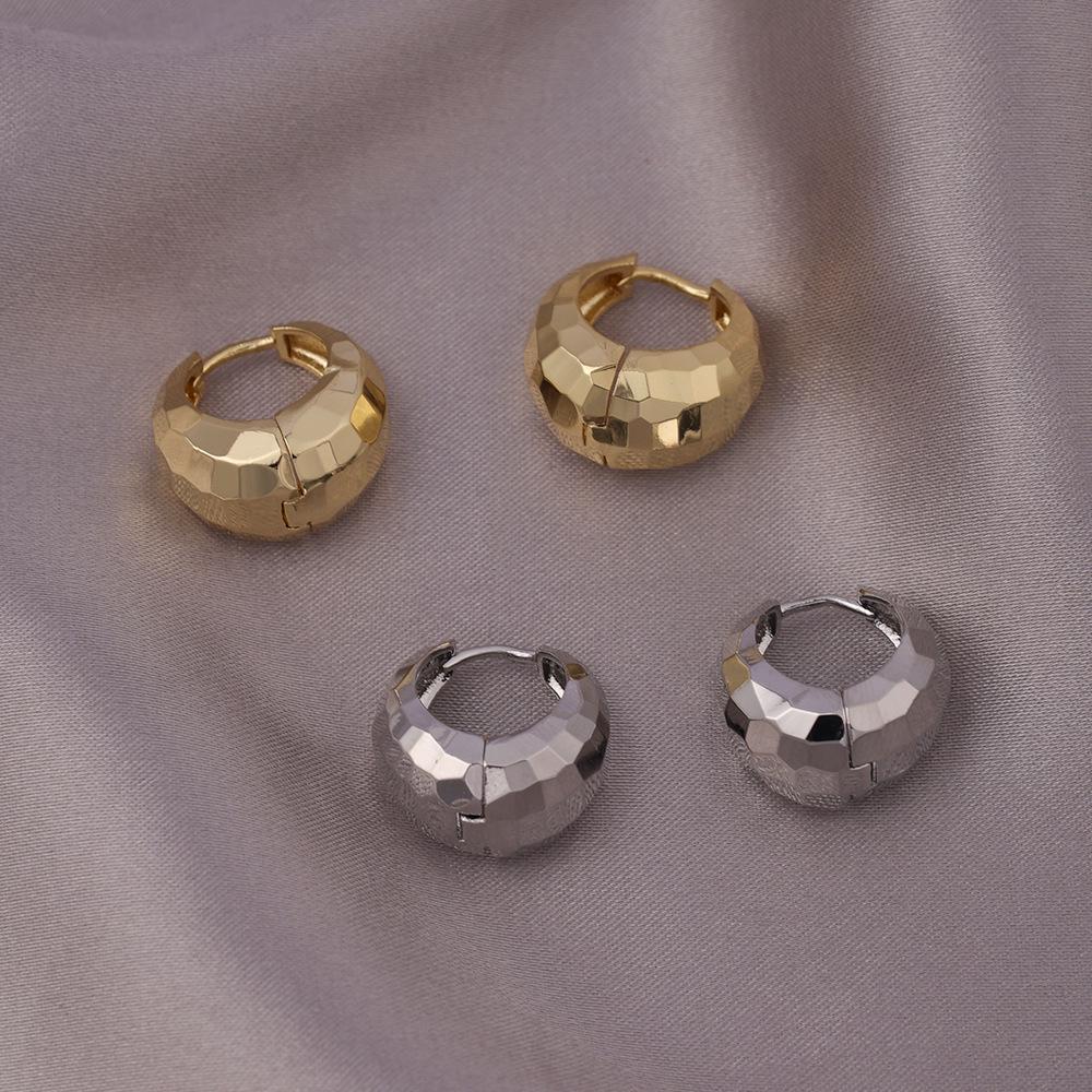 

Винтажные медные серьги C-образной формы: Европейско-американский стиль, Нишевый роскошный дизайн E-055 Silver