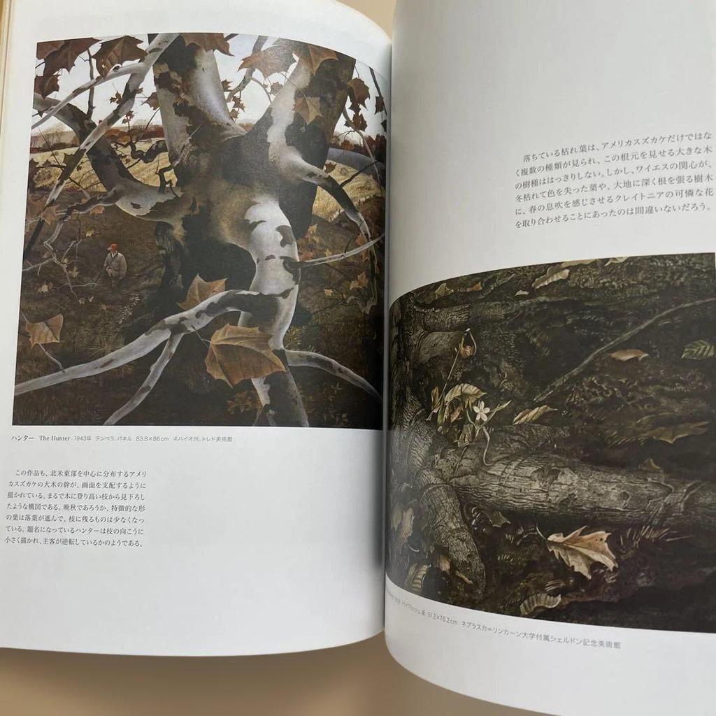 [USED] Andrew Wyeth Collection