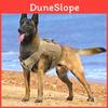 Pet Harness And Leash Set For Large Dogs With Adjustable Nylon Material For Training And Walks
