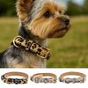 Perros – Collares y correas