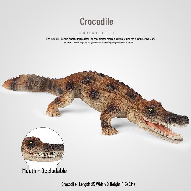 Crocodile & Alligator Educational Toy Model for Kids - Wildlife Science Gift