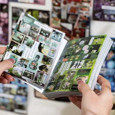 Libro de Pegatinas Troqueladas Estilos Japoneses Álbum de Recortes de Pegatinas Pegatina Papelería Pegatina Decorativa Retro para Portátil