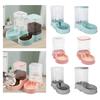 Small Medium Large Pet Feeder Automatic Watering Can Dispenser for Animals