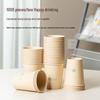 Deli 250ml Bamboo Fiber Disposable Paper Cups