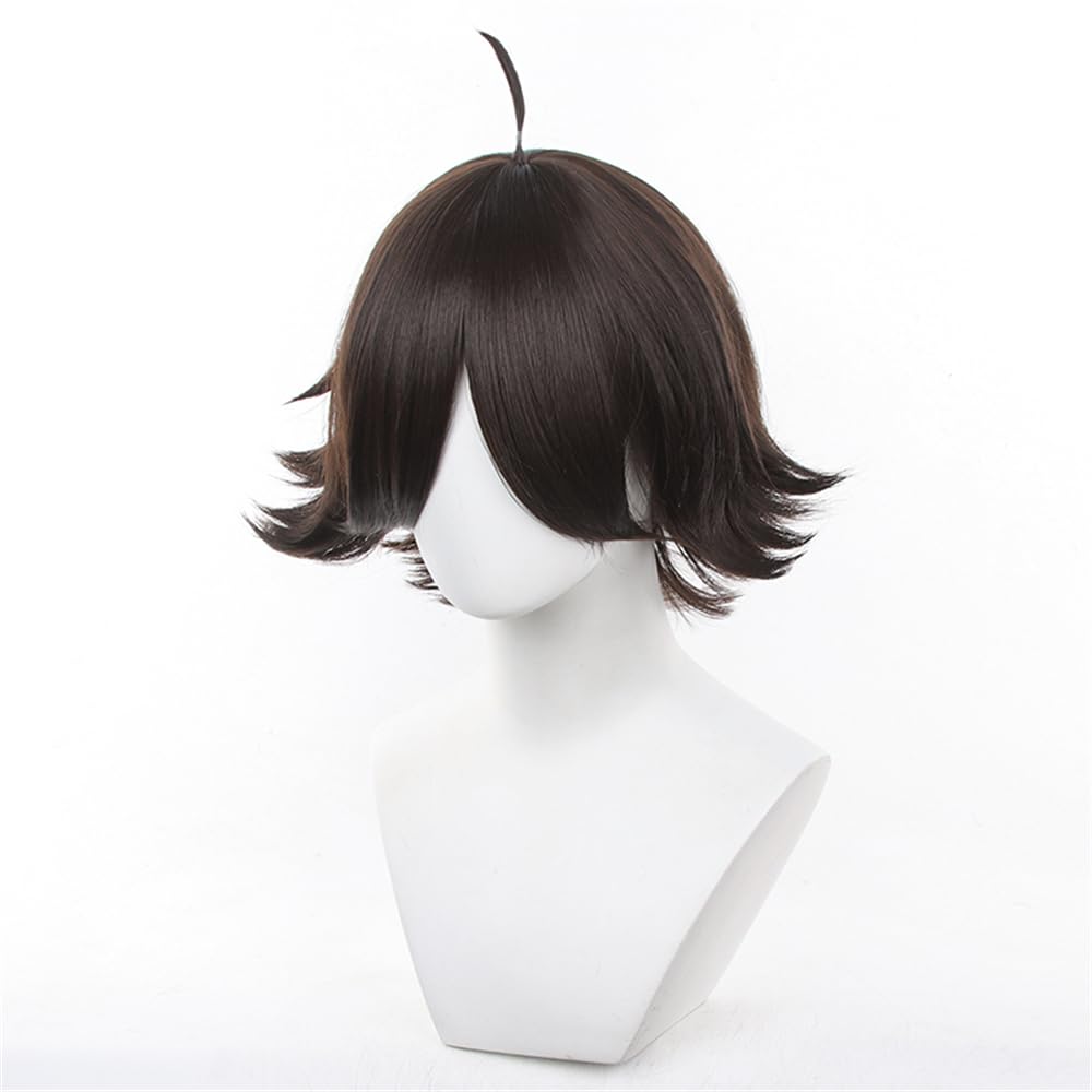 Sizuuenn Rintaro Kadonaga Cosplay Wig with Perfect for School Cultural and Photo Shoots Haikyu!! Wig, Heat-Resistant, Net, Events, Festivals,