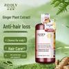 Zhuolanya Anti-Hair Loss Scalp Shampoo