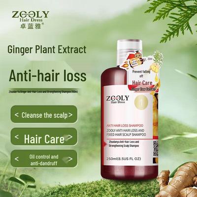 Zhuolanya Anti-Hair Loss Scalp Shampoo