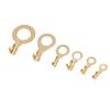 540PCS Brass Wire Lugs Assortment Set Electric Cable Ring Lugs with Storage Box M3 M4 M5 M6 M8 M10