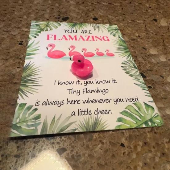Mini Flamingo Pocket Hug Token Gift Small Resin Animal Emotional Support Gifts