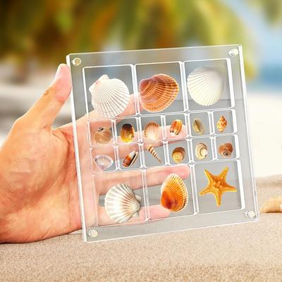 Acryl Magnetische Muschel Display Box Große Größe Muschel Aufbewahrungsbox Mehrzweck Kleine Bastel-Organizer