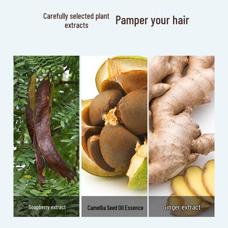 Bee Flower Refreshing Anti-dandruff Shampoo & Conditioner Set