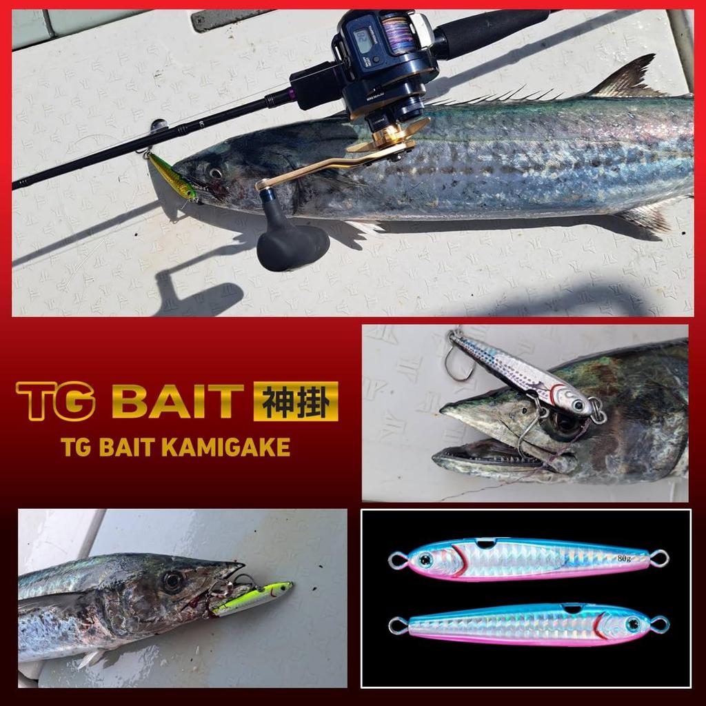 Daiwa Tungsten Jig TG Bait Kamikake 100g PH Akakin