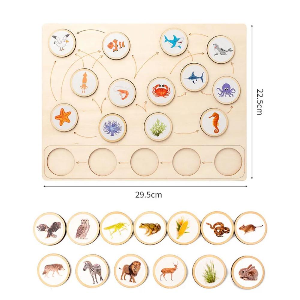 

Животные Морская жизнь Пазлы на сопоставление Монтессори Развивающие игрушки Развивающая среда Пищевая цепь Познание Игрушки для приходского обучения