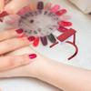 4Pcs Nail Magnets Blue Red Cat Stamping Tool DIY Nail Stamping Tool Manicure Kit Set For Salon Home Use