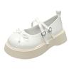 Fashion Vintage Thick Soles with Skirts Mary Jane 2025 Spring and Summer New Height-matching Small Leather Shoes Woman