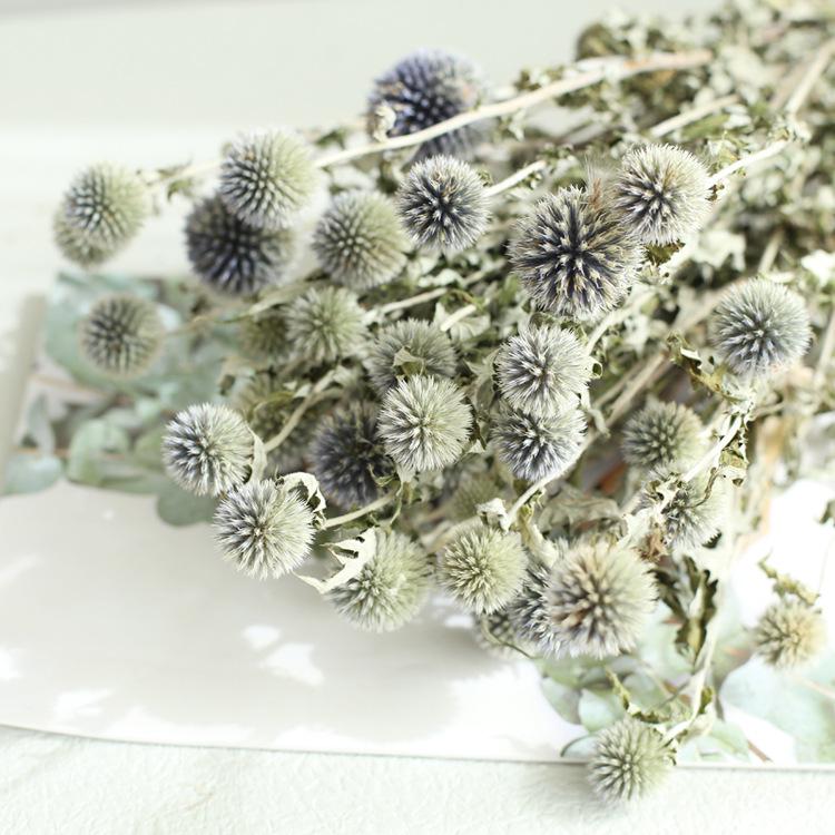 Blue Planet Dried Blue Thistle Flower Bouquet for Wedding, Arrangement, Home or Living Room Decor