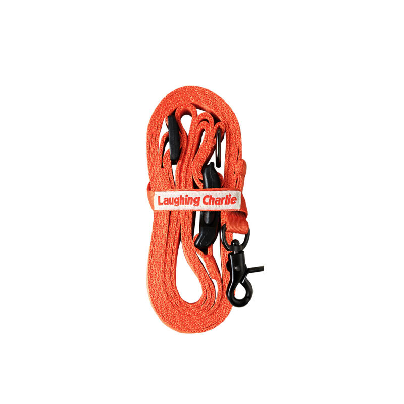 Hands-free leash for walking