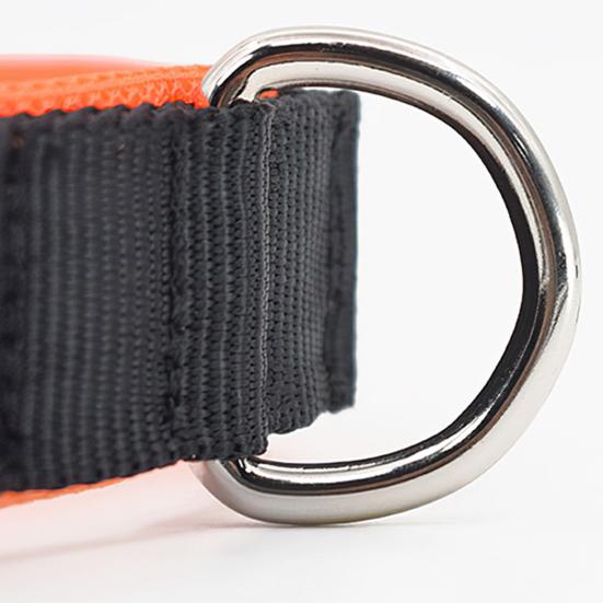 Dog Collar Breathable Adjustable Traction Tool Durable Pet Supplies for Outdoor