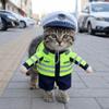 Standing Style Dog Transformation Costume Casual Upright Costume Pet Jumpsuit  Cosplay Event