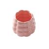 ZISIZ Ceramic Stainless Steel Fruit Fork Set with Storage Jar