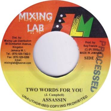 

7inch Record ASSASSIN Two Words For You NONE Mixing Lab 2000 Jamaica Reggae Ska Dub Used