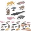 Crocodile Dolphin South American Animal Model Set Wildlife Display For Educational Use