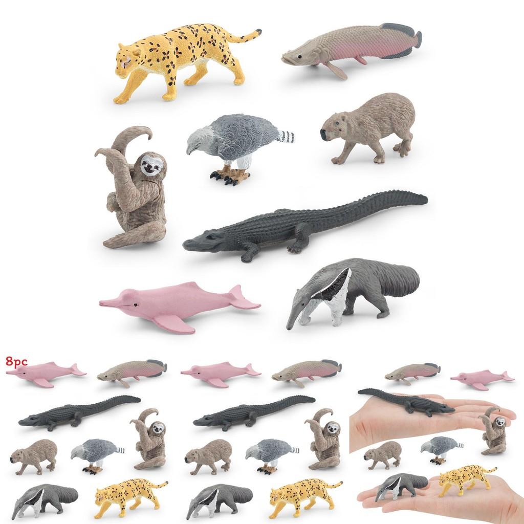 Crocodile Dolphin South American Animal Model Set Wildlife Display For Educational Use