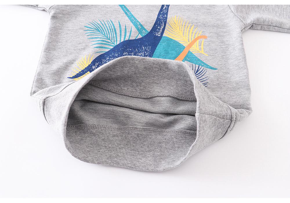European & American Kids Autumn Long Sleeve Cartoon Hoodie for Boys - 2020 New Casual Cotton Children's Clothing