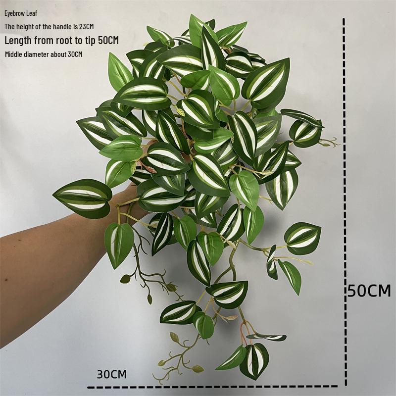 Wandmontierte Monstera-Ranke für die Innendekoration: Hängende Efeutute und laminierte grüne Zweige