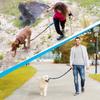 Pet Retractable Belt Leash For Running Reflective Retractable Hand Free Dog Leash with Adjustable Waist Rope For Outdoor Running