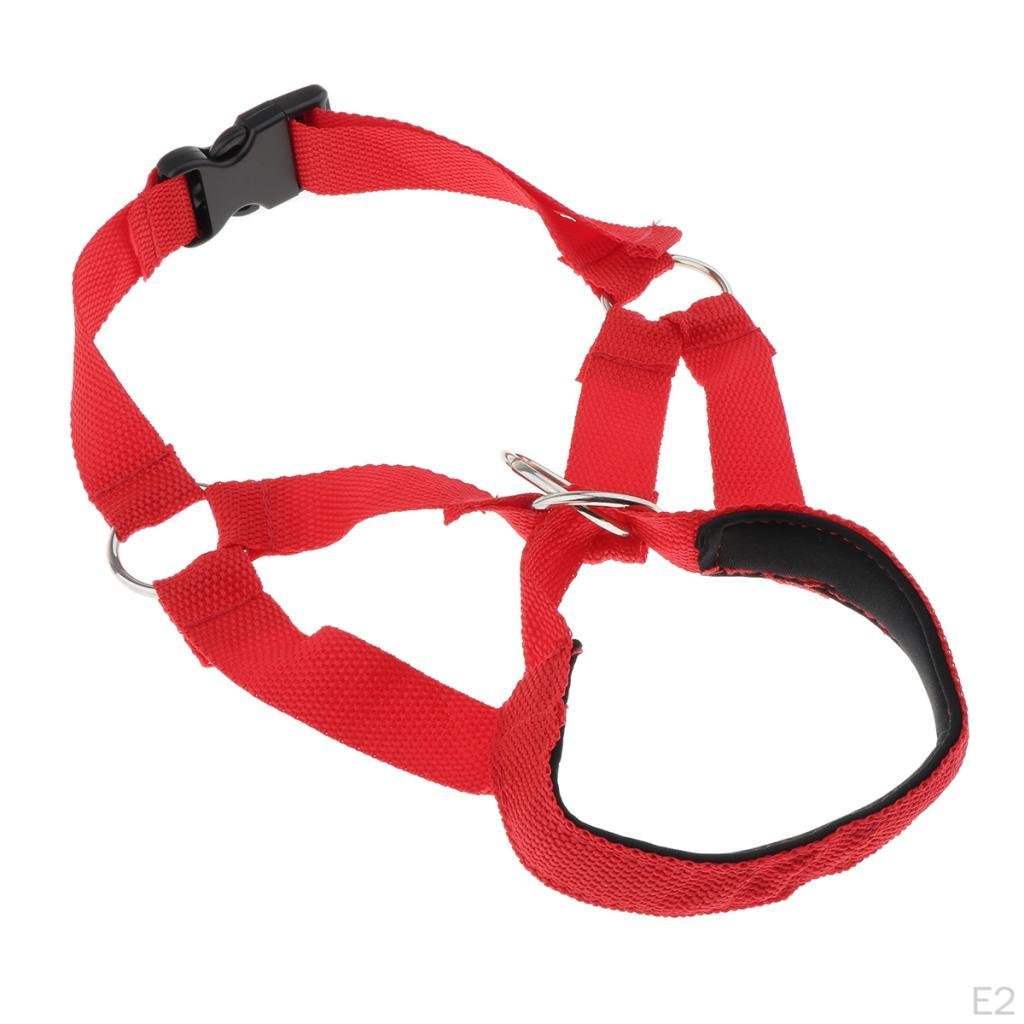 Adjustable Muzzle for Dogs