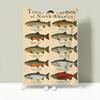 Vintagefreshwaterfishchart Throw Lightweight 240G Flannel Blanket Soft Skin-Friendly For Summer Cooling