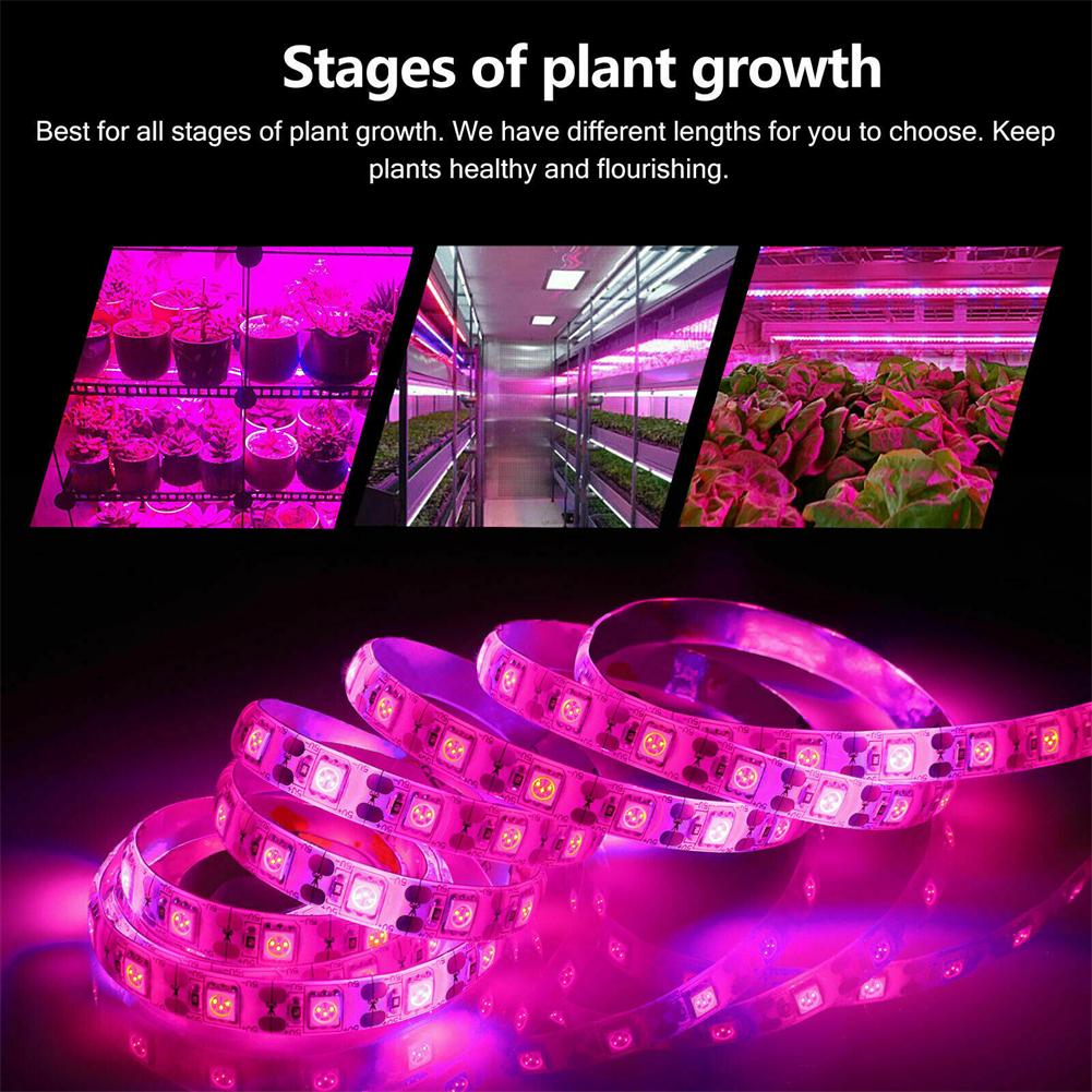 Led Grow Light Strip Waterproof Energy Saving Full Spectrum Grow Lamp For Indoor Plant Vegetable