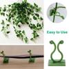 10-100PCS Plant Climbing Wall Fixture Clips Self-Adhesive Invisible Plant Support Garden Vine Climbing Fixture Plant Accessories