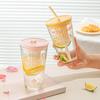 LOVWISH Le Fruit Glass Straw Tea Cup