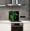 PANEL SZKLANY DO KUCHNI 65x60 Monstera