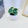 Simulation Leaves 8 Epipremnum Aureum Potted Artificial Plant Ornament Decor