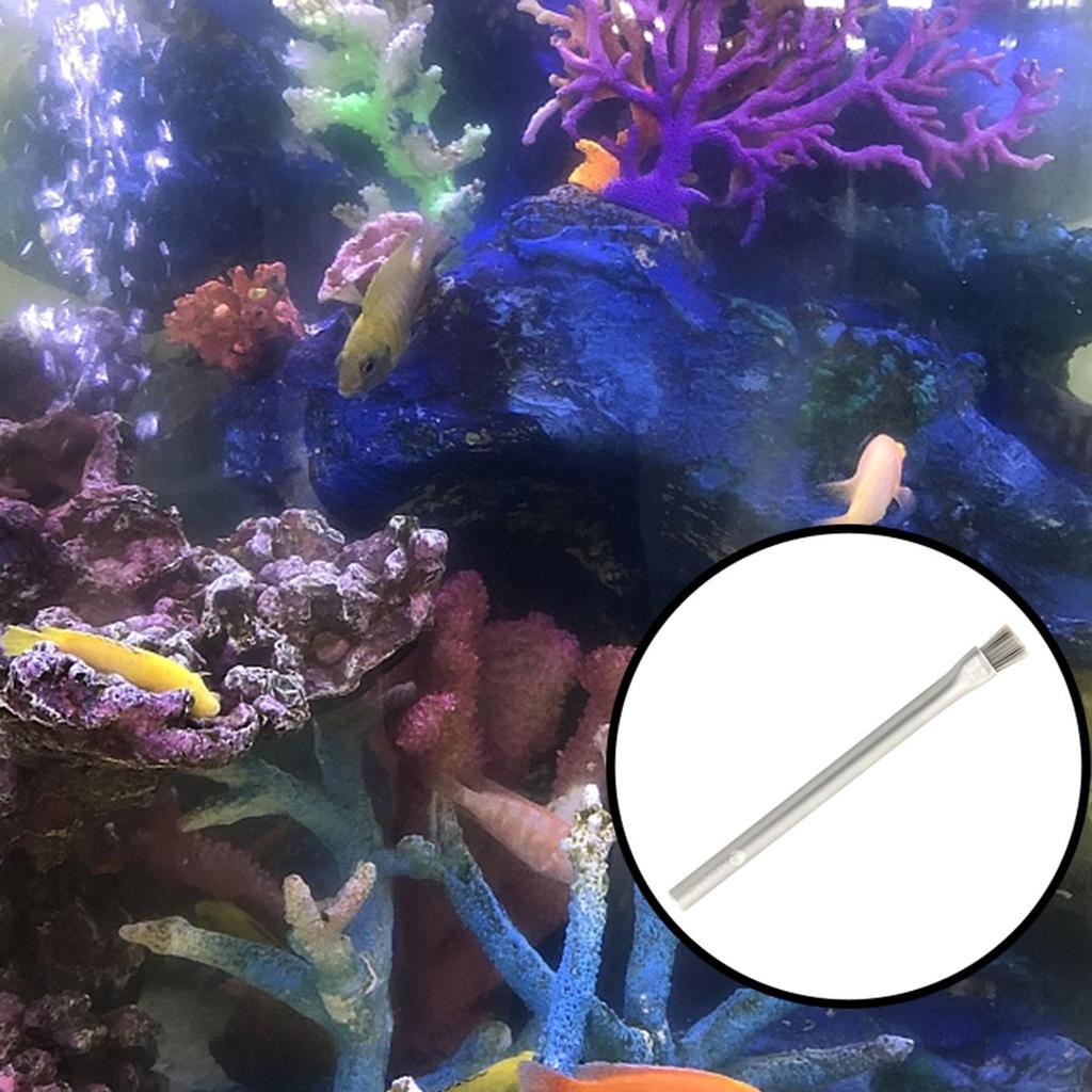 Buy Fish Tanks Algae Cleaning Brush Aquarium ols, Scrubber Cleaner
