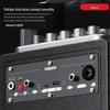 Malata M+9255 Outdoor Portable Bluetooth Karaoke Speaker CN plug (adapter included)