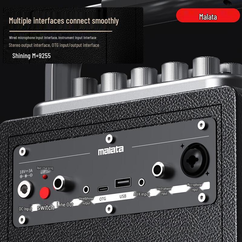 Malata M+9255 Outdoor Portable Bluetooth Karaoke Speaker CN plug (adapter included)