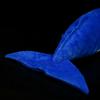 Cute Sprem Whales Plush Doll Simulator Sperm Whale Doll Sea Animal Doll Education Appease Toys