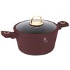 TITANIUM POT WITH LID 30cm BERLINGER HAUS BH-8043 LEONARDO